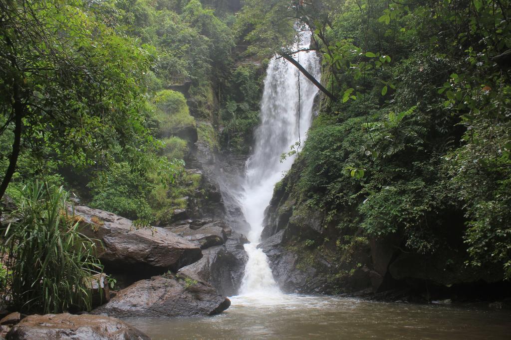 Dudhsagar Plantation Villa Cormonem Buitenkant foto