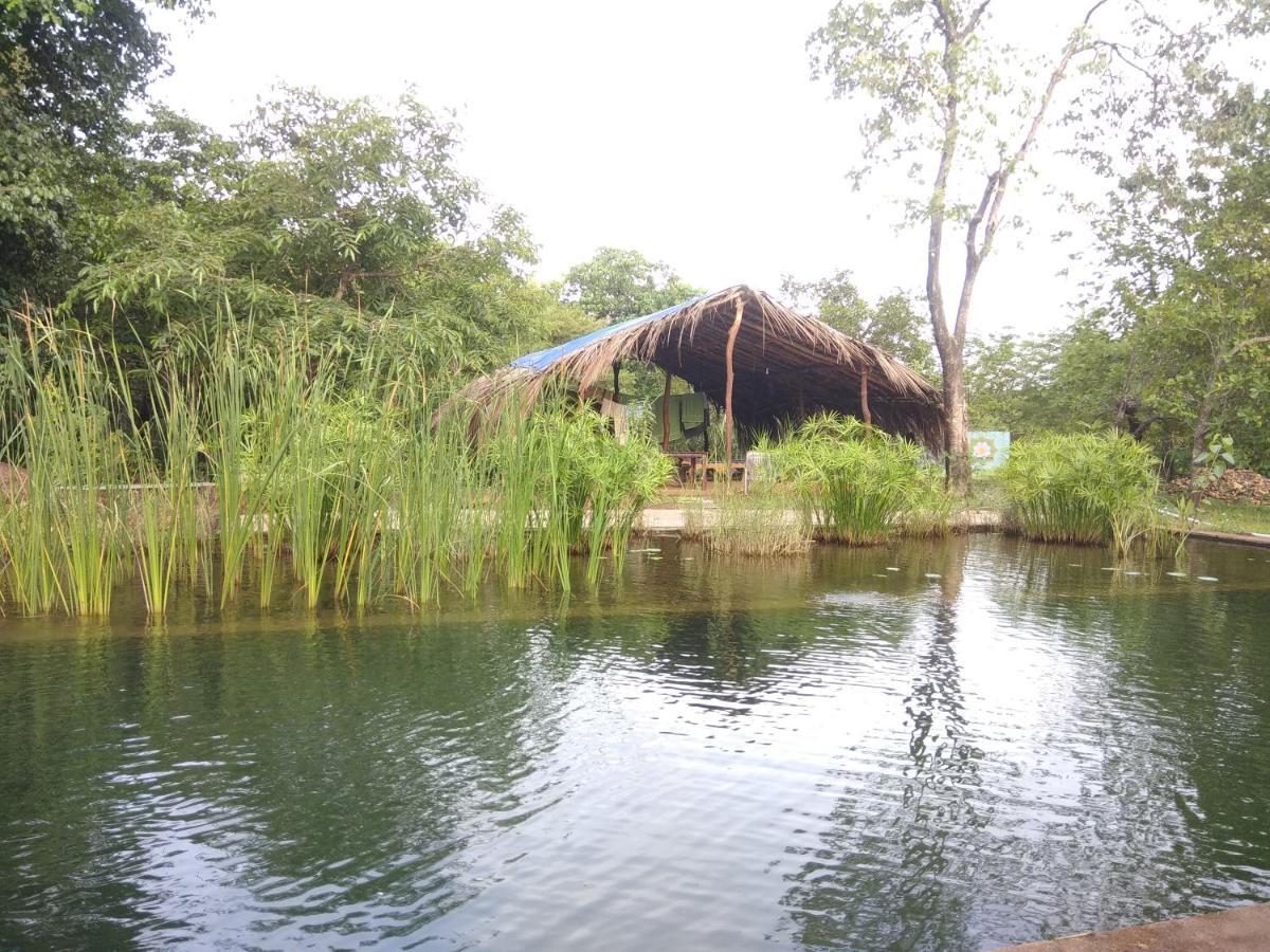 Dudhsagar Plantation Villa Cormonem Buitenkant foto